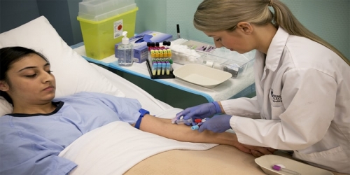 Here's how to Find Phlebotomy Work Experience: The Volunteer Option