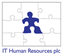 Jobs at IT Human Resources