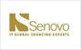 Jobs at Senovo IT
